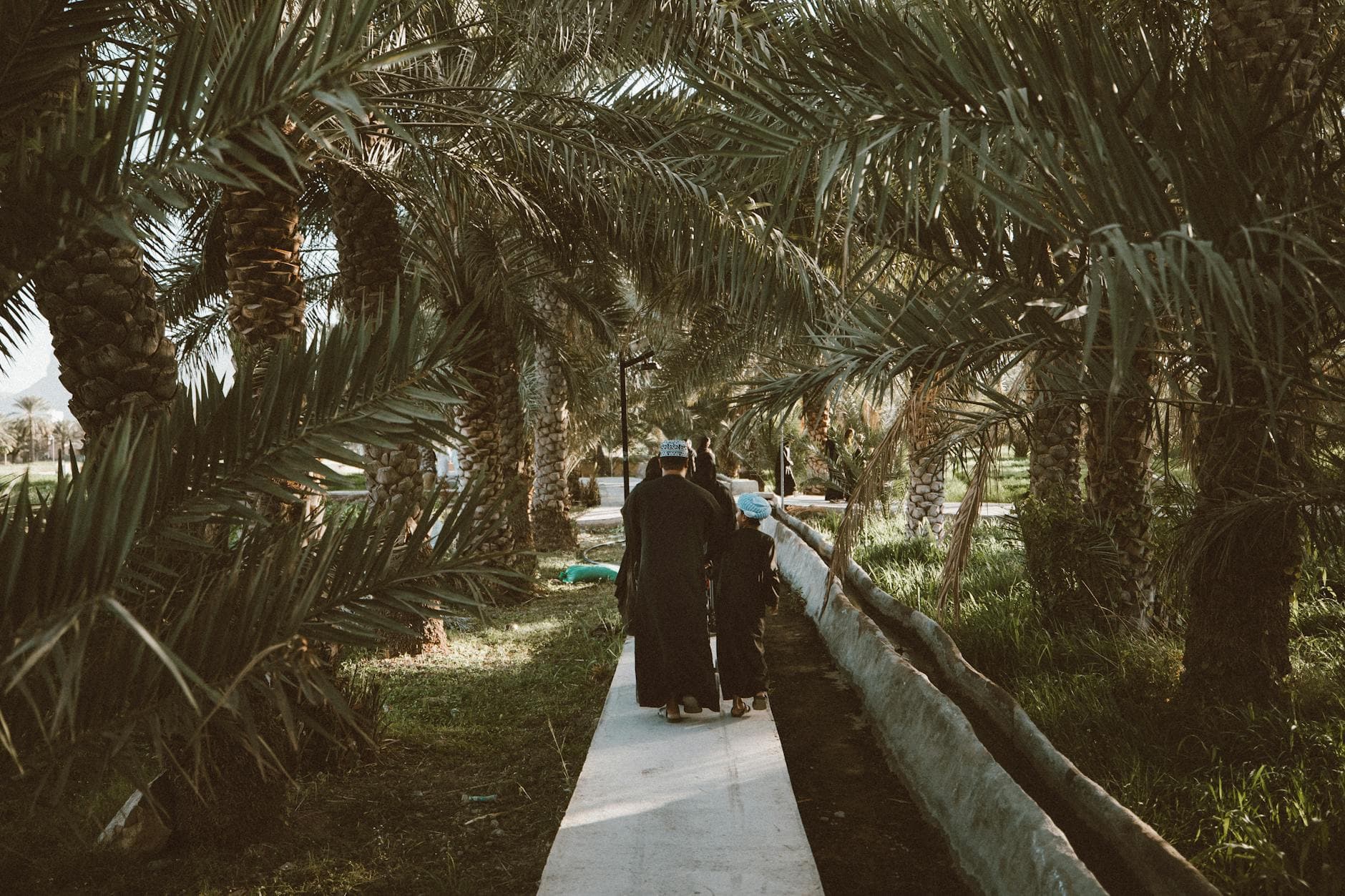 Photo by Eslam Mohammed Abdelmaksoud on Pexels A serene walk through Omani palm groves showcases the region's rich culture and traditional attire.