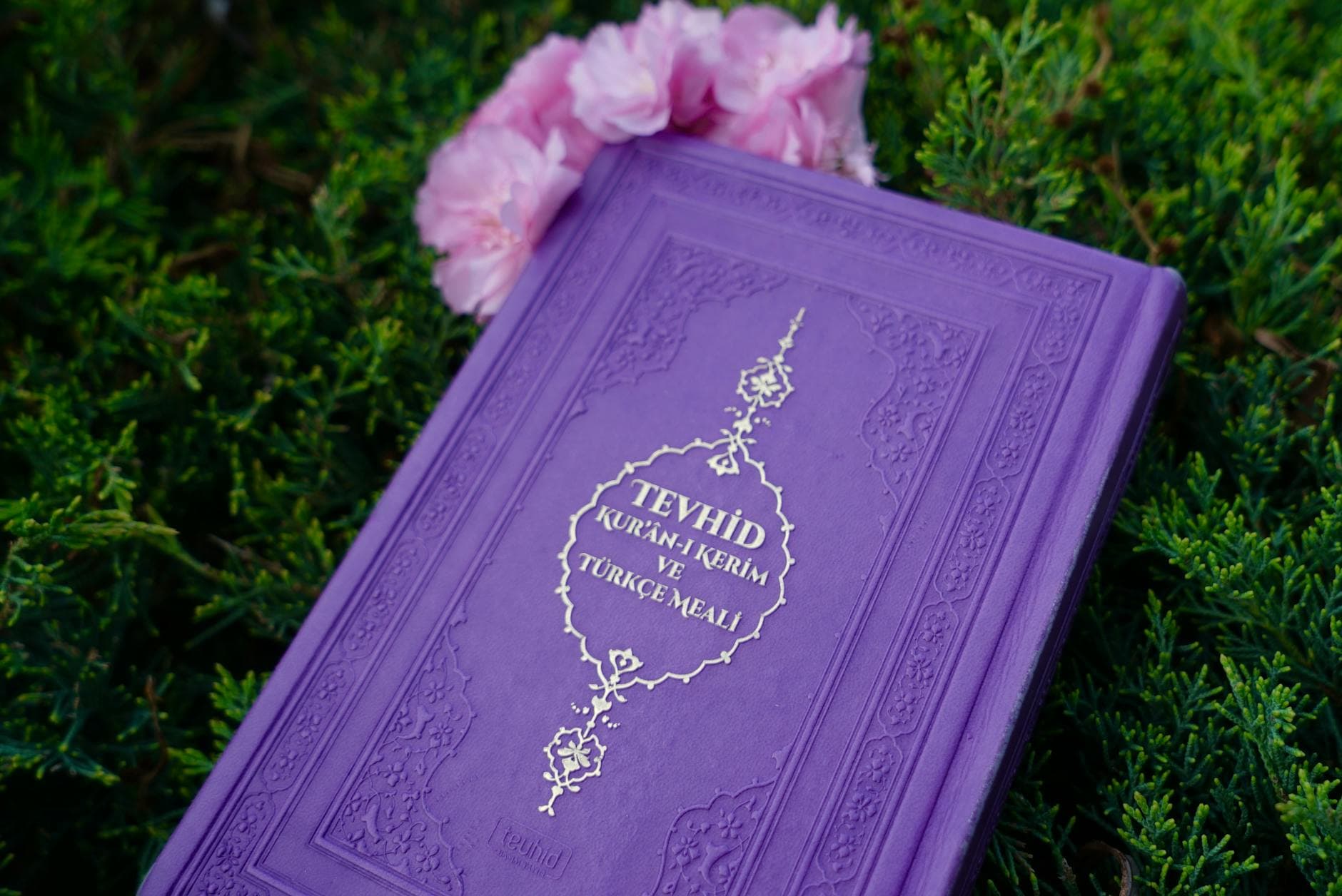 Photo by Pir Sümeyra on Pexels A purple Quran with Turkish text rests on grass, adorned by pink flowers.