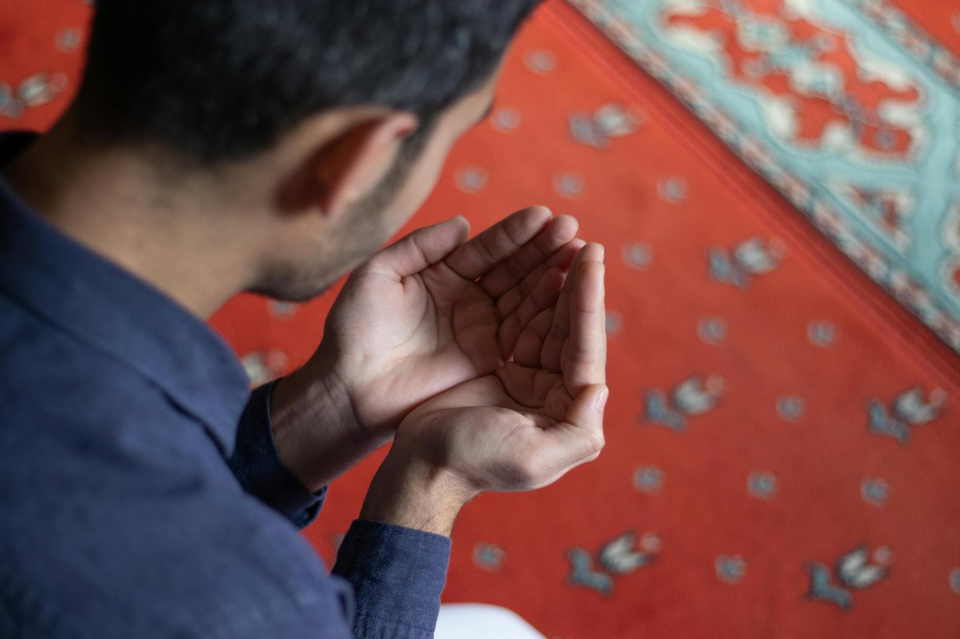 Photo by Emre Ateşoğlu on Pexels A young man holding his hands in prayer on a patterned mosque carpet, symbolizing devotion.